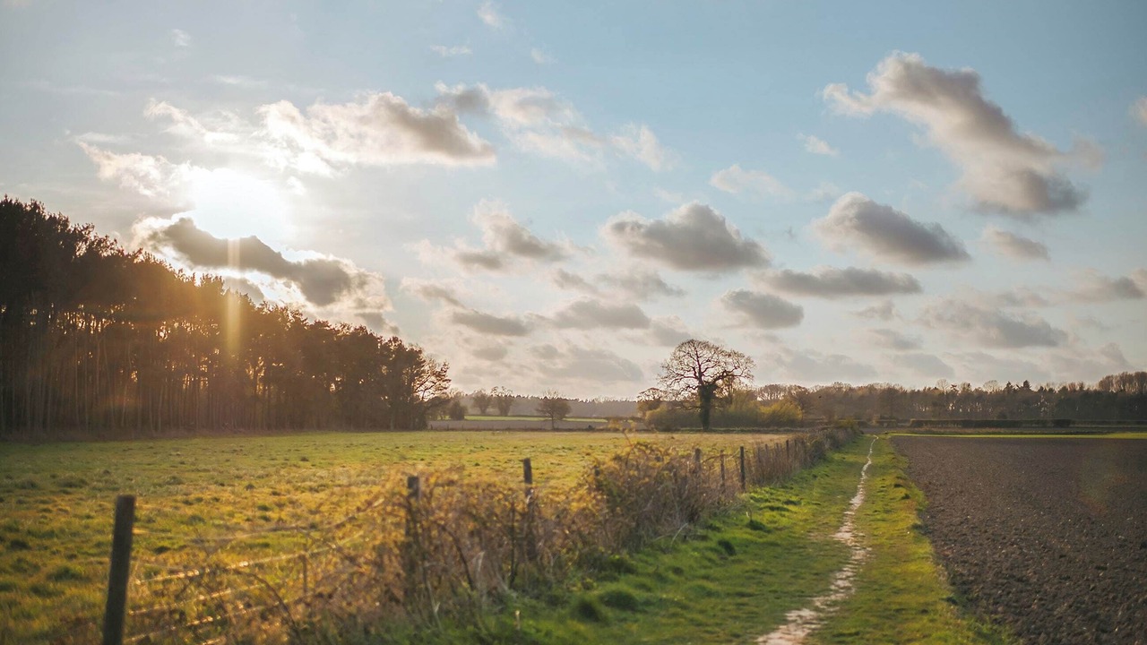 Photo of Others in Melton Constable
