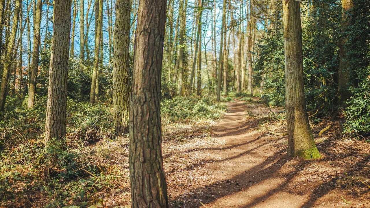 Photo of Others in Melton Constable