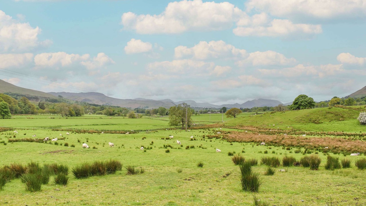 Photo of Outdoor in Scales