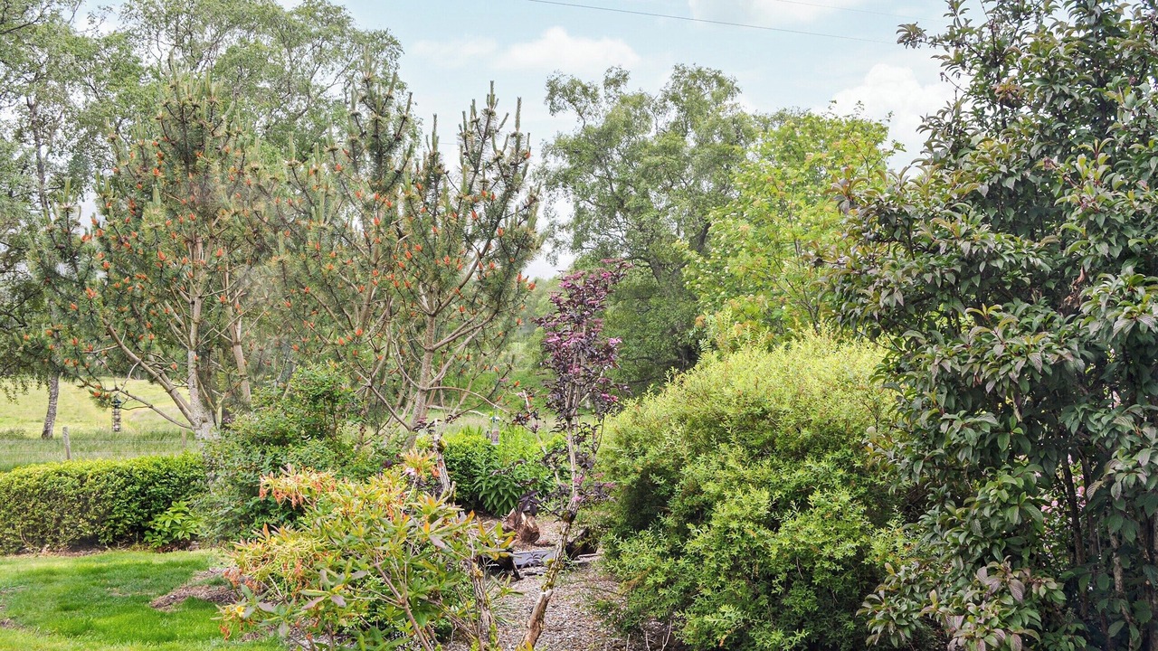 Photo of Outdoor in Tarfside