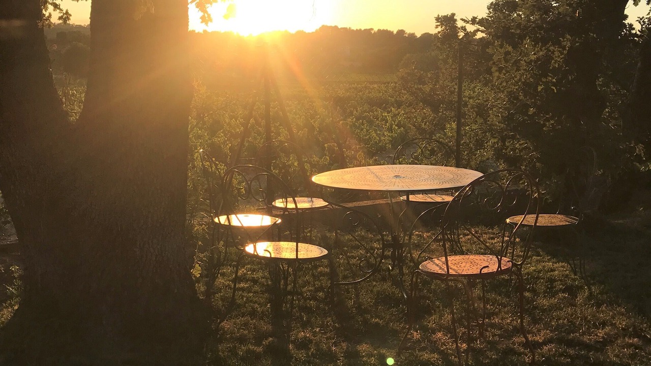 Photo of Outdoor in Courthezon