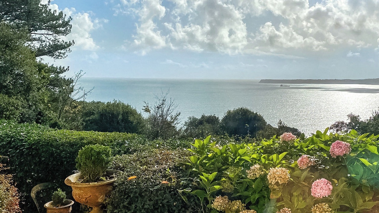 Photo of Others in Torquay