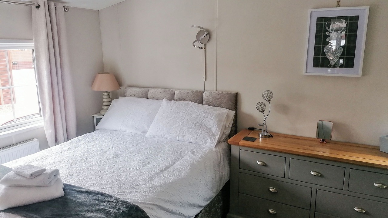 Photo of Others in Dollar