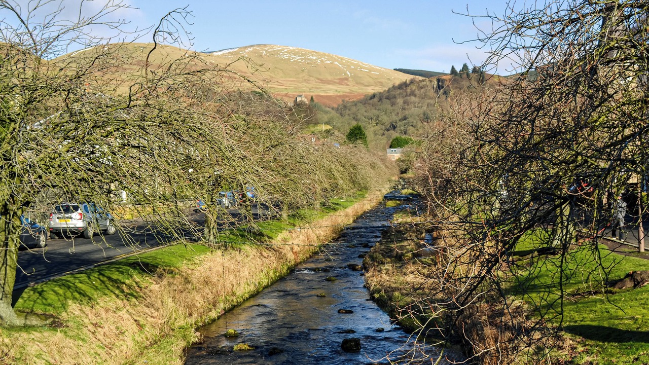 Photo of Others in Dollar