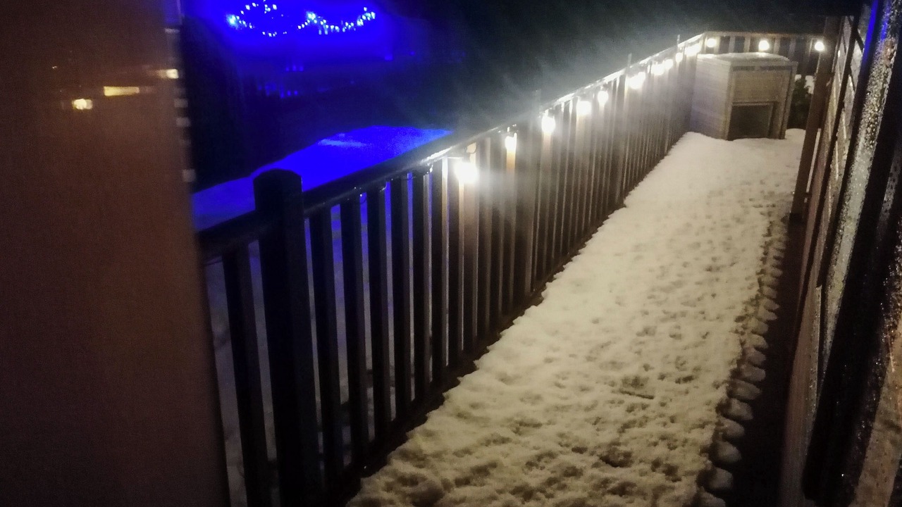 Photo of Others in Dollar