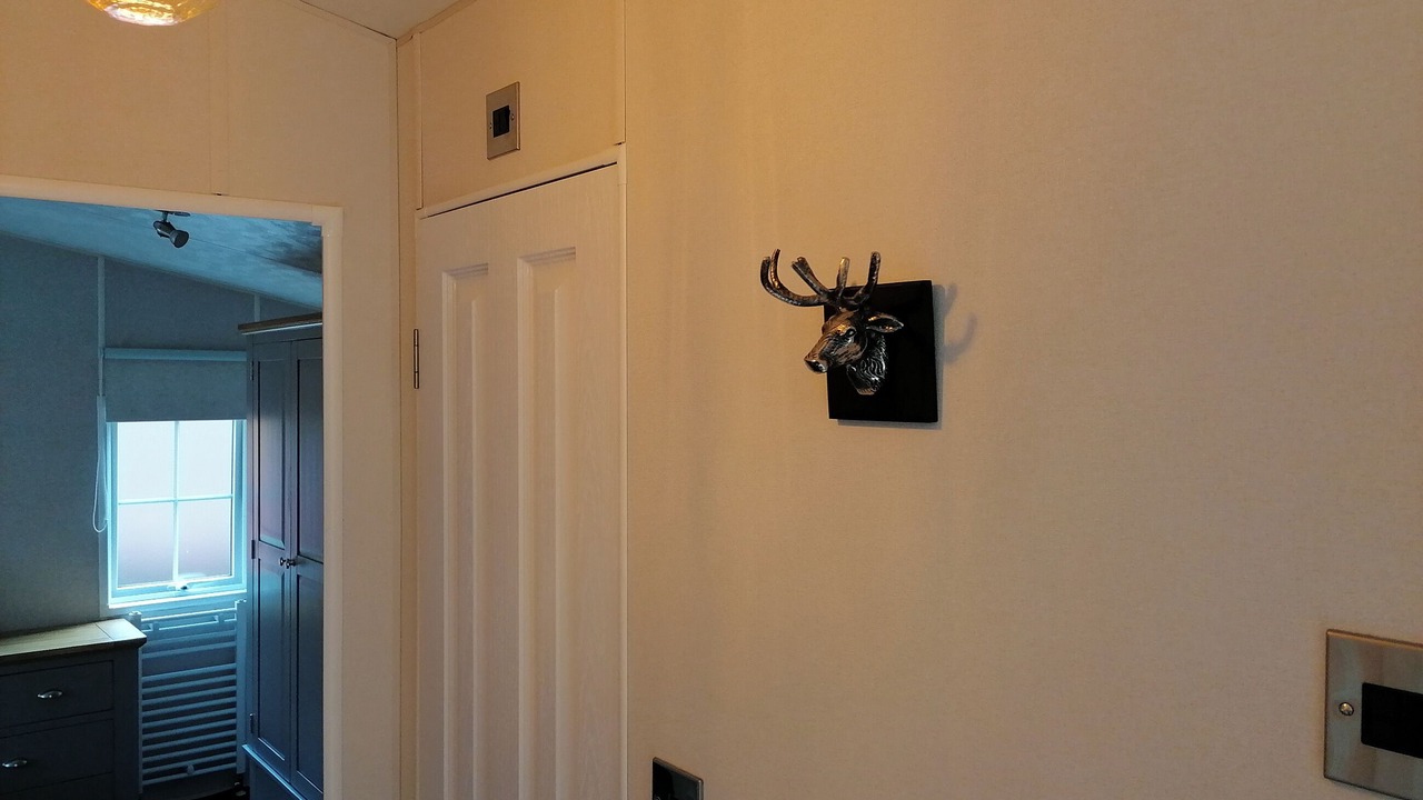 Photo of Others in Dollar