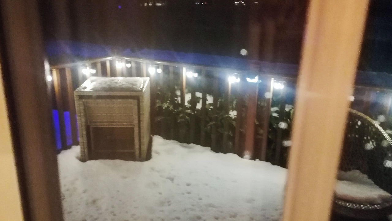 Photo of Others in Dollar