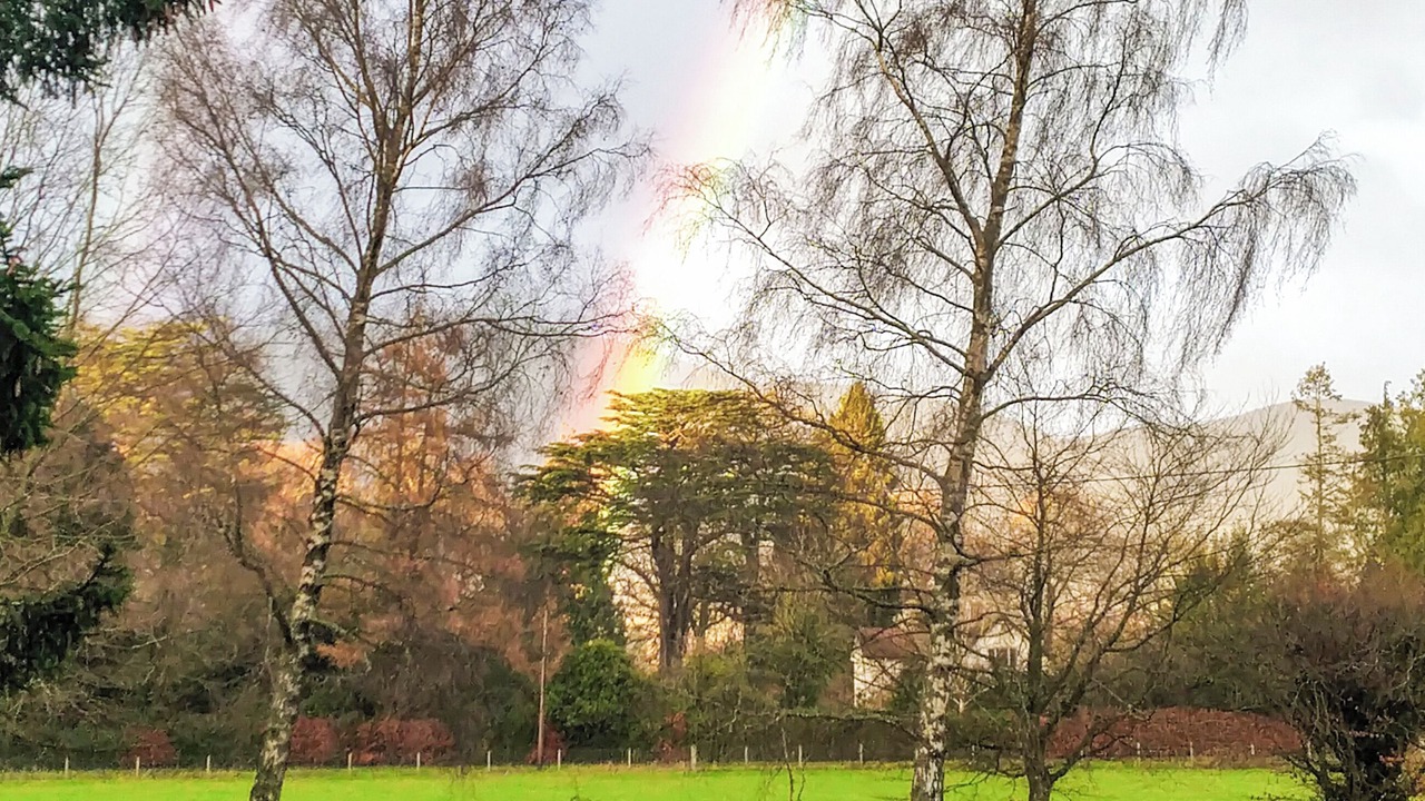 Photo of Others in Dollar