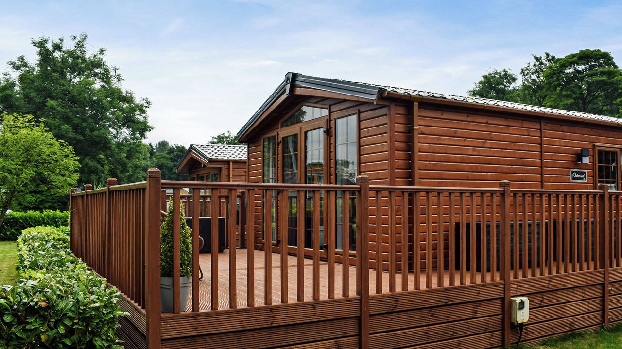 Photo of Others in Dollar