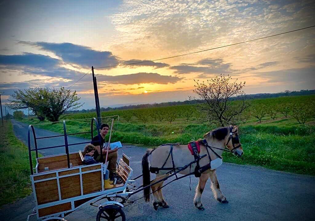 Photo of Outdoor in Saint-Genis