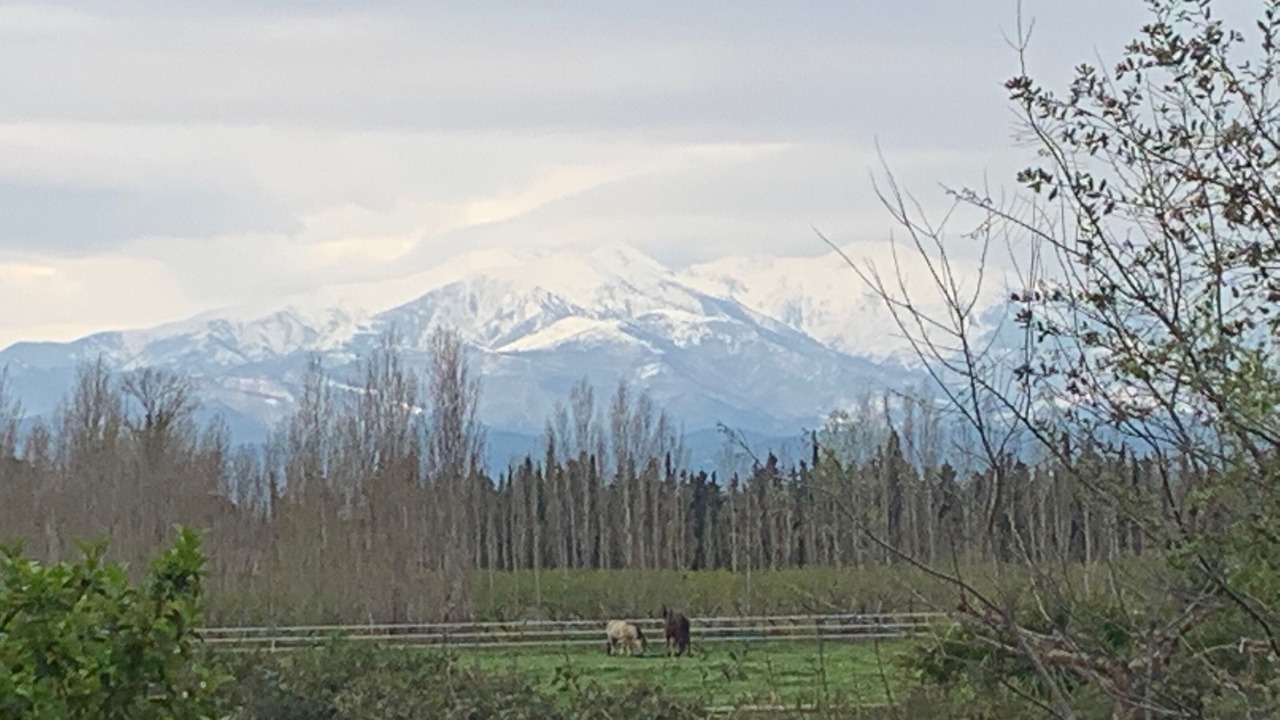 Photo of Others in Saint-Genis