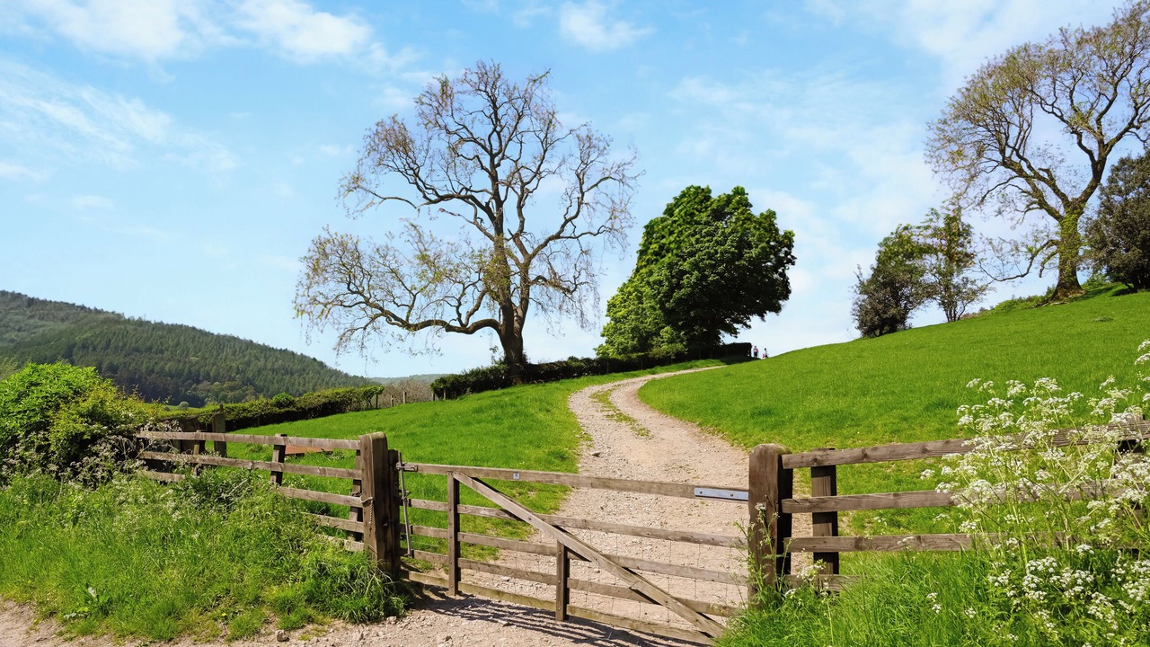 Photo of Others in Hawnby