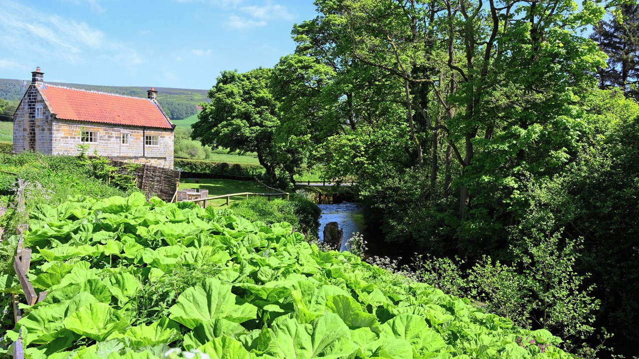 Photo of Others in Hawnby