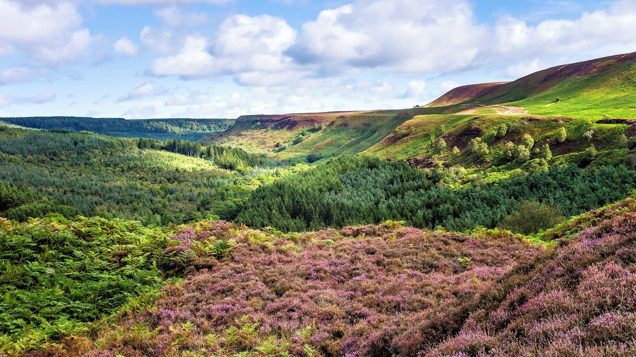 Photo of Others in Hawnby