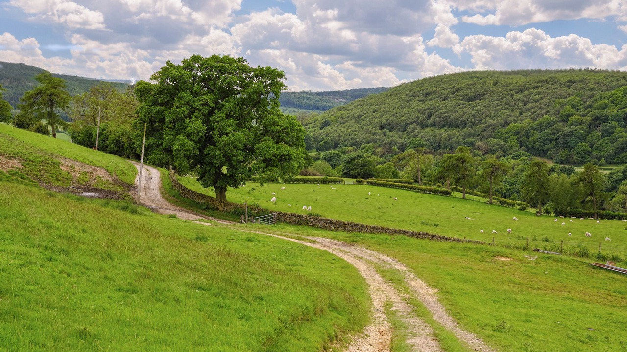 Photo of Others in Hawnby