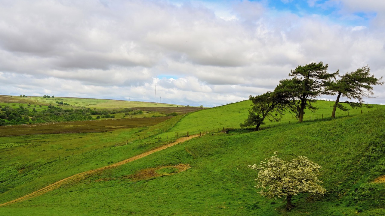 Photo of Others in Hawnby