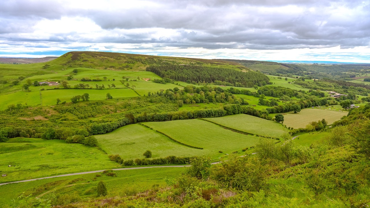 Photo of Others in Hawnby