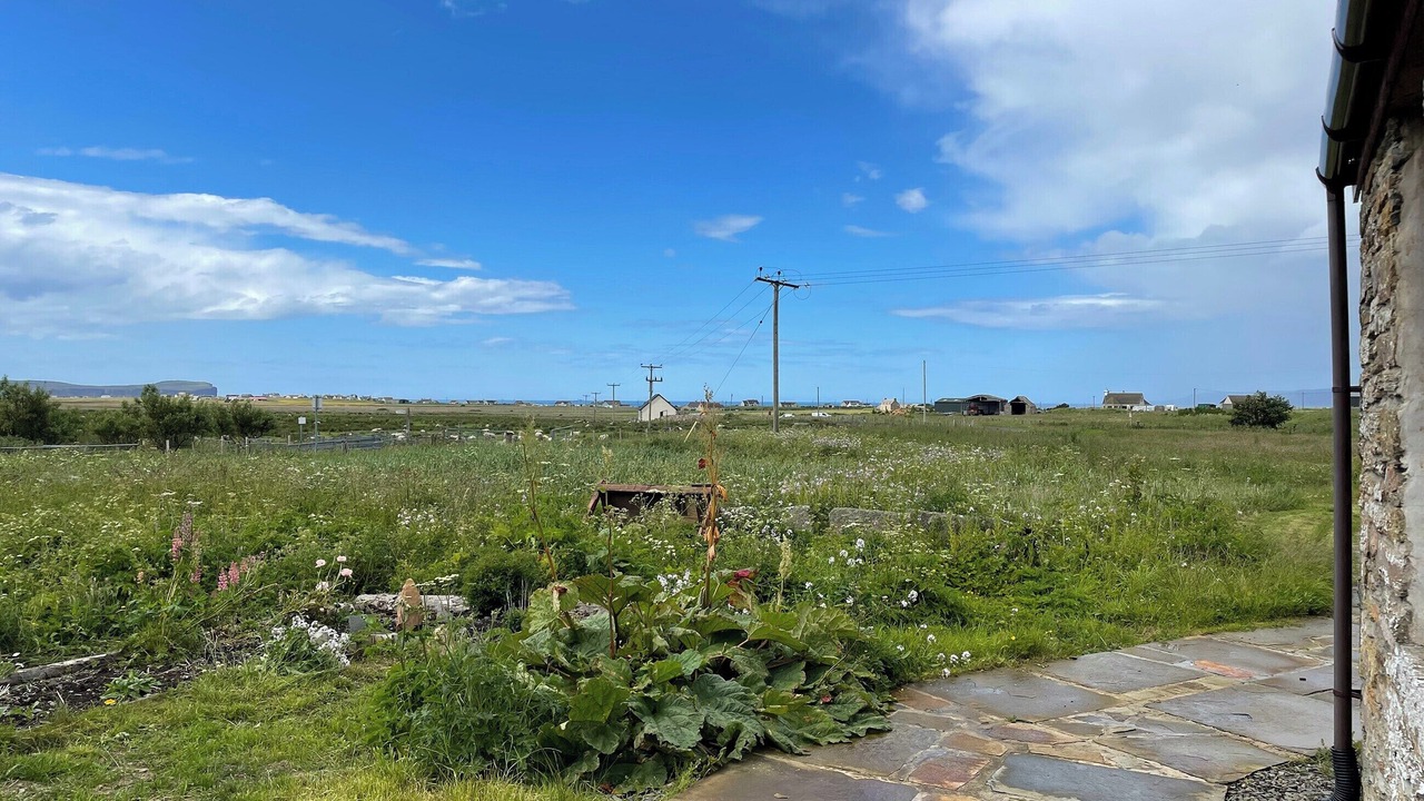 Photo of Others in Mey