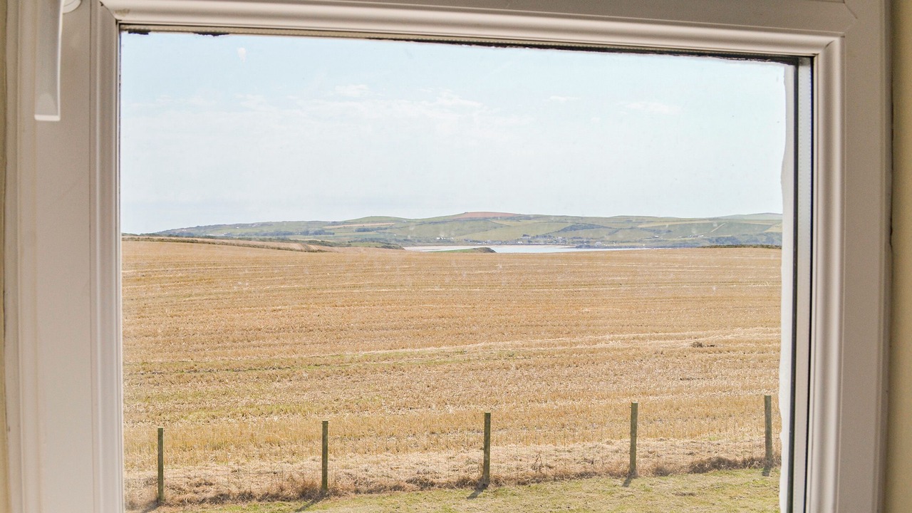 Photo of Others in Port Logan