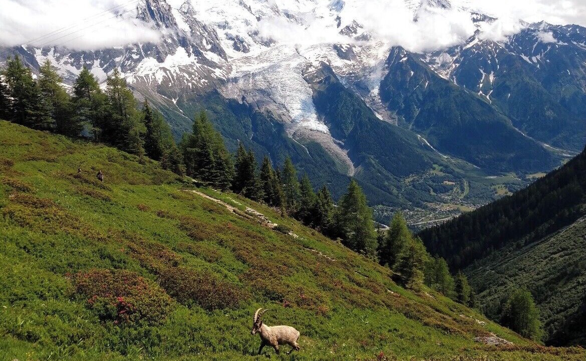 Photo of Others in Les Praz-de-Chamonix