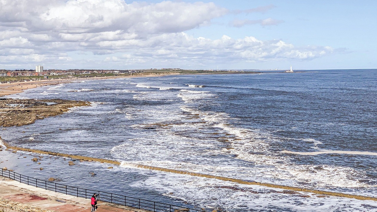 Photo of Others in Whitley Bay