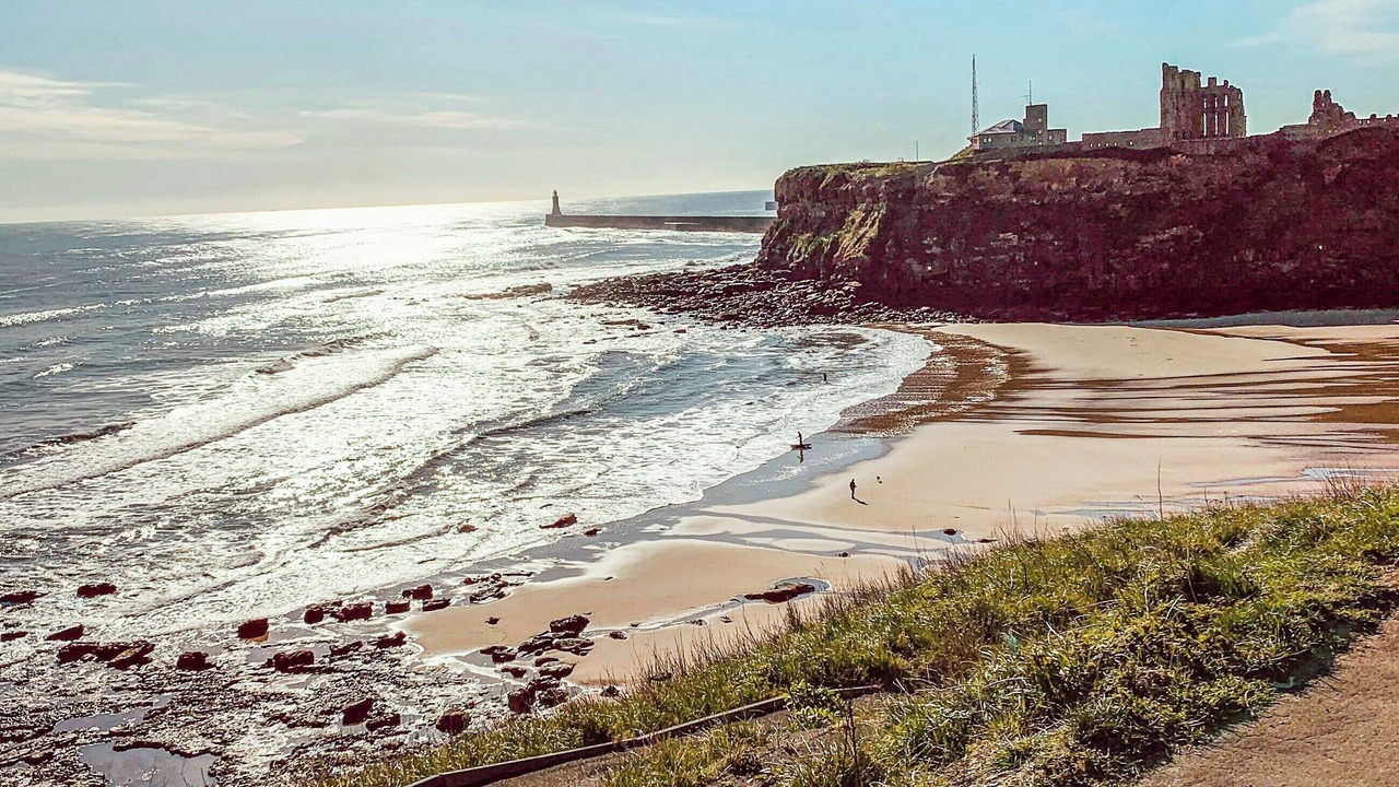 Photo of Others in Whitley Bay