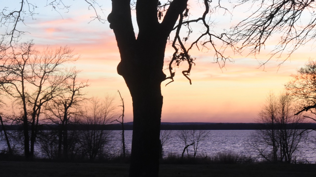 Photo of Others in Checotah