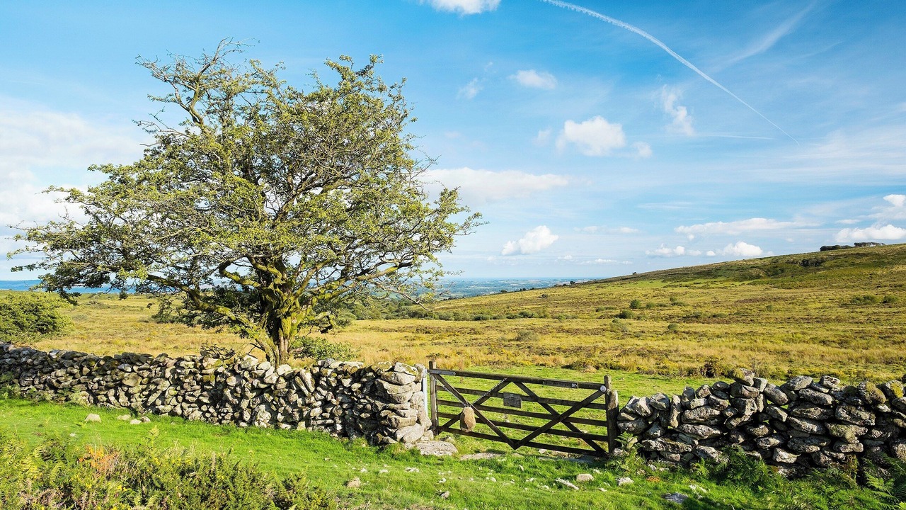 Photo of Others in Cullompton