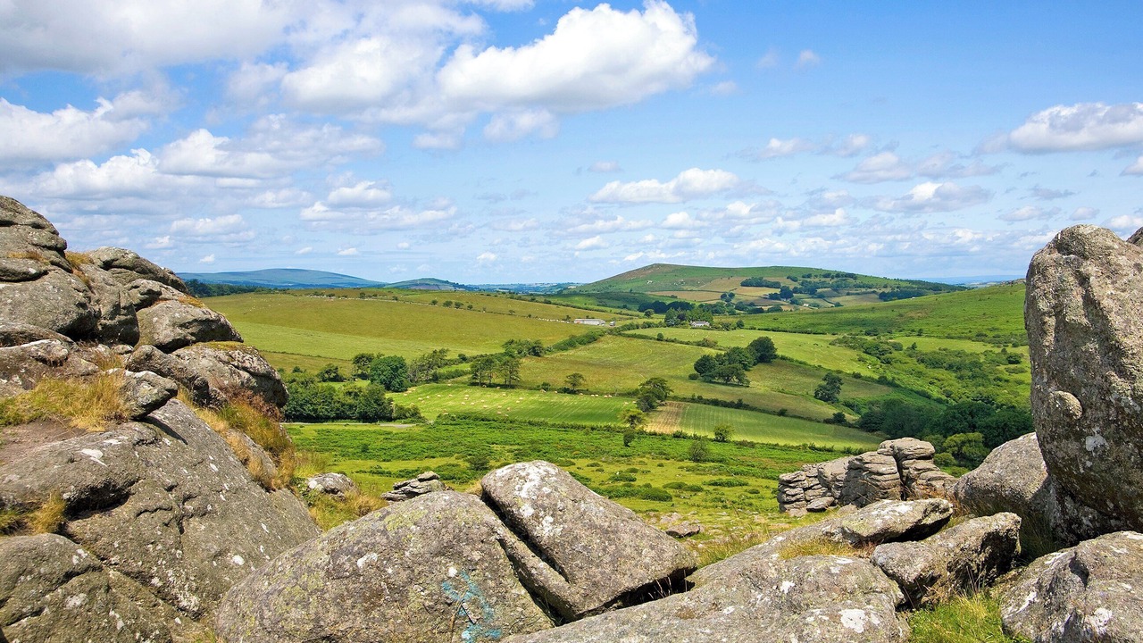 Photo of Others in Cullompton