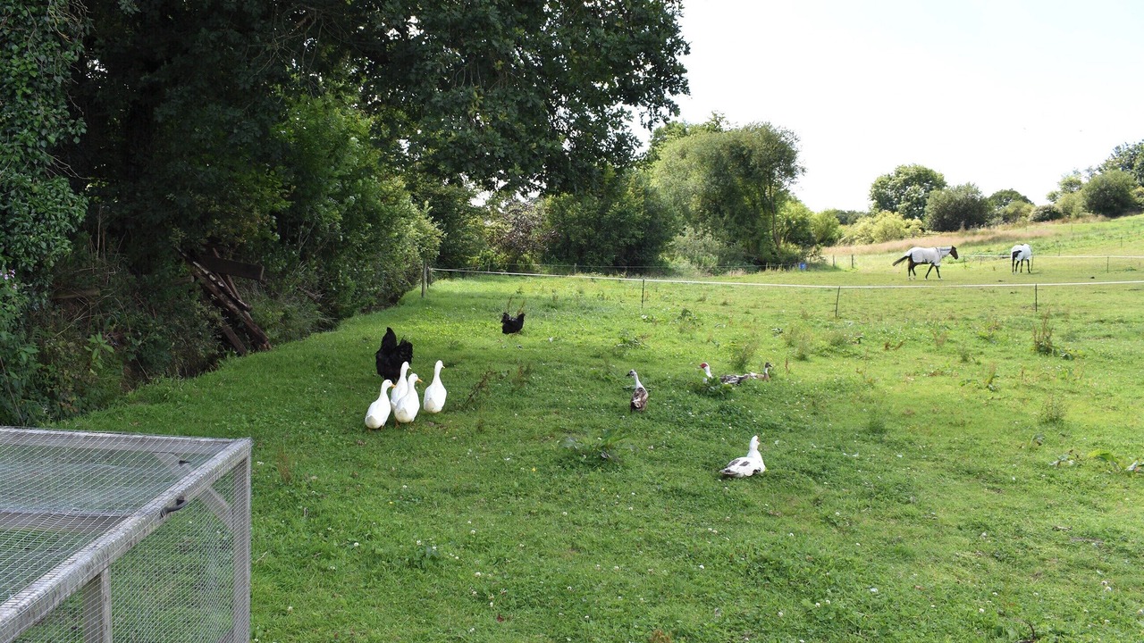 Photo of Others in Cullompton