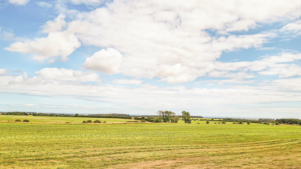 Photo of Others in Lowick