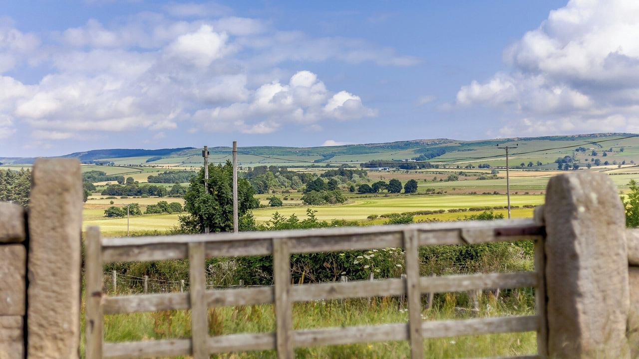 Photo of Others in Old Bewick