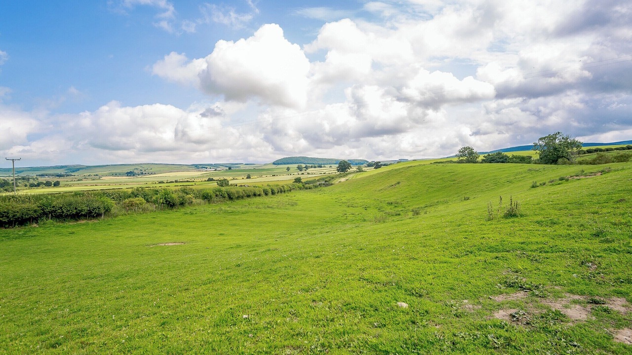 Photo of Others in Old Bewick