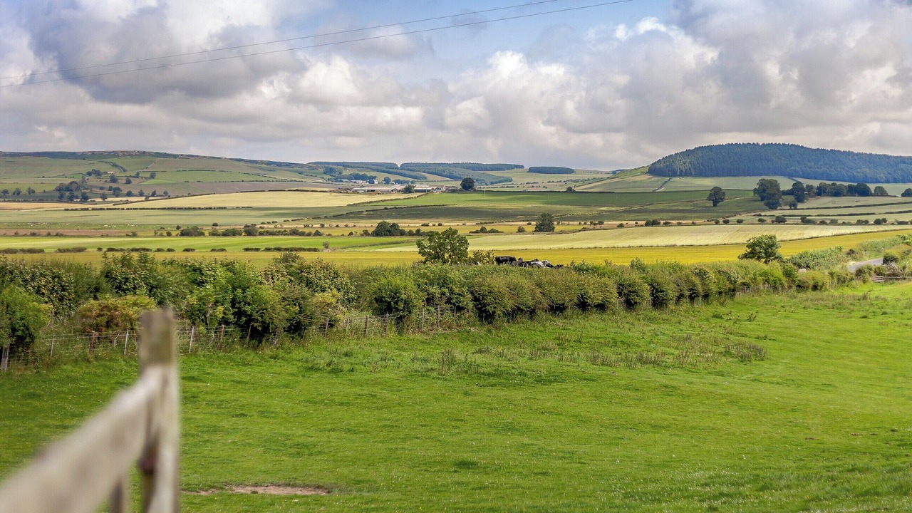 Photo of Others in Old Bewick