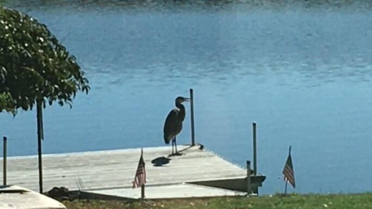 Photo of Others in Montague