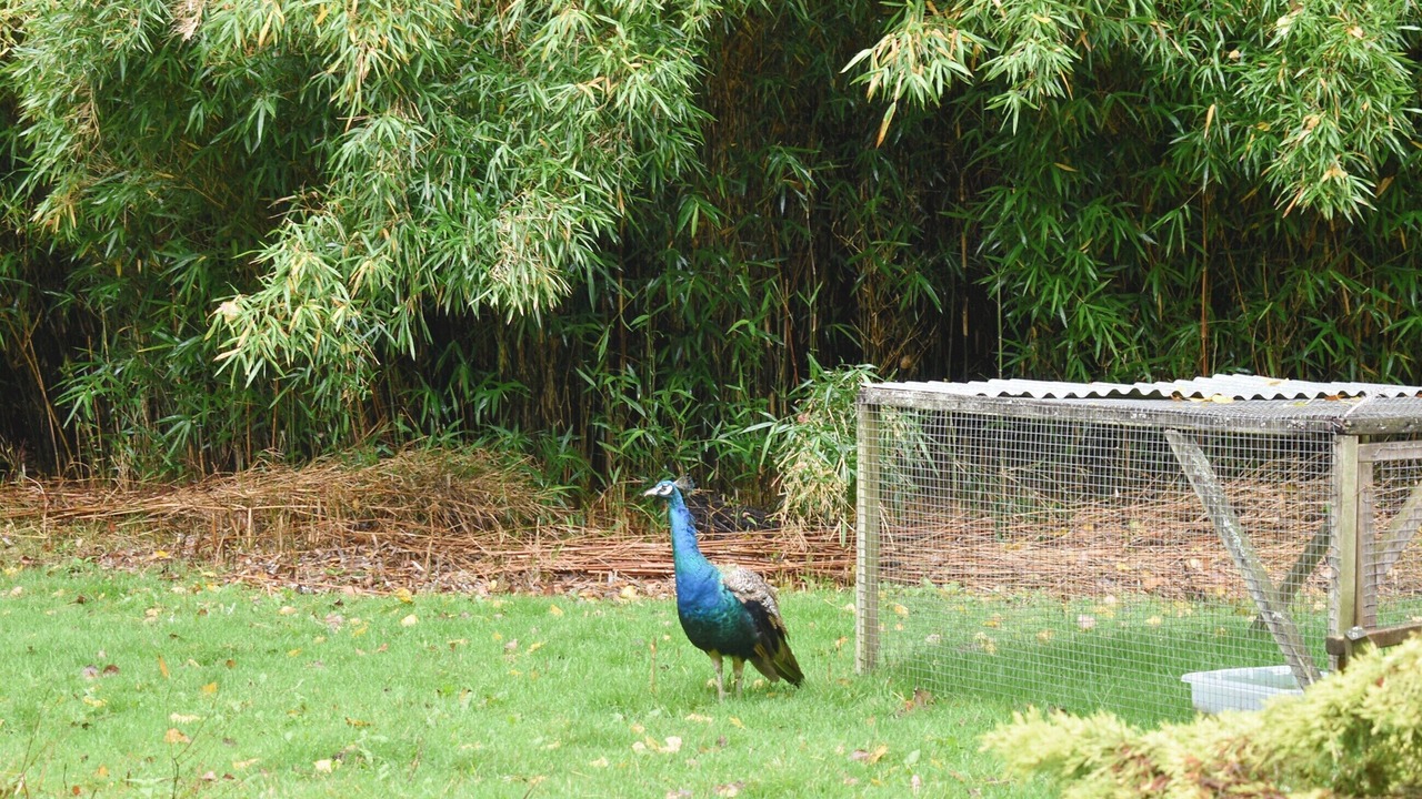 Photo of Outdoor in Crowborough