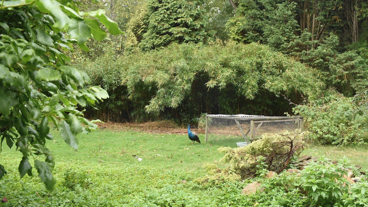 Photo of Outdoor in Crowborough