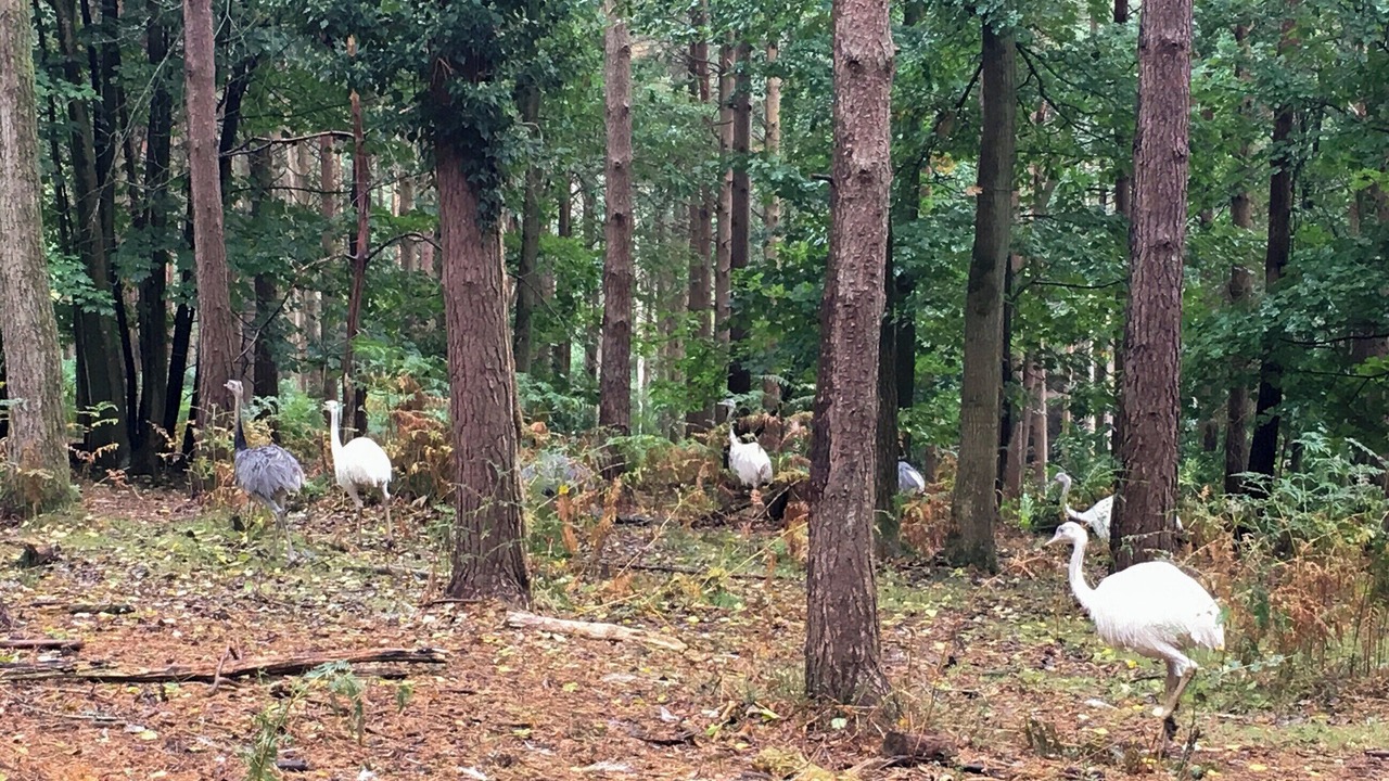 Photo of Others in Crowborough