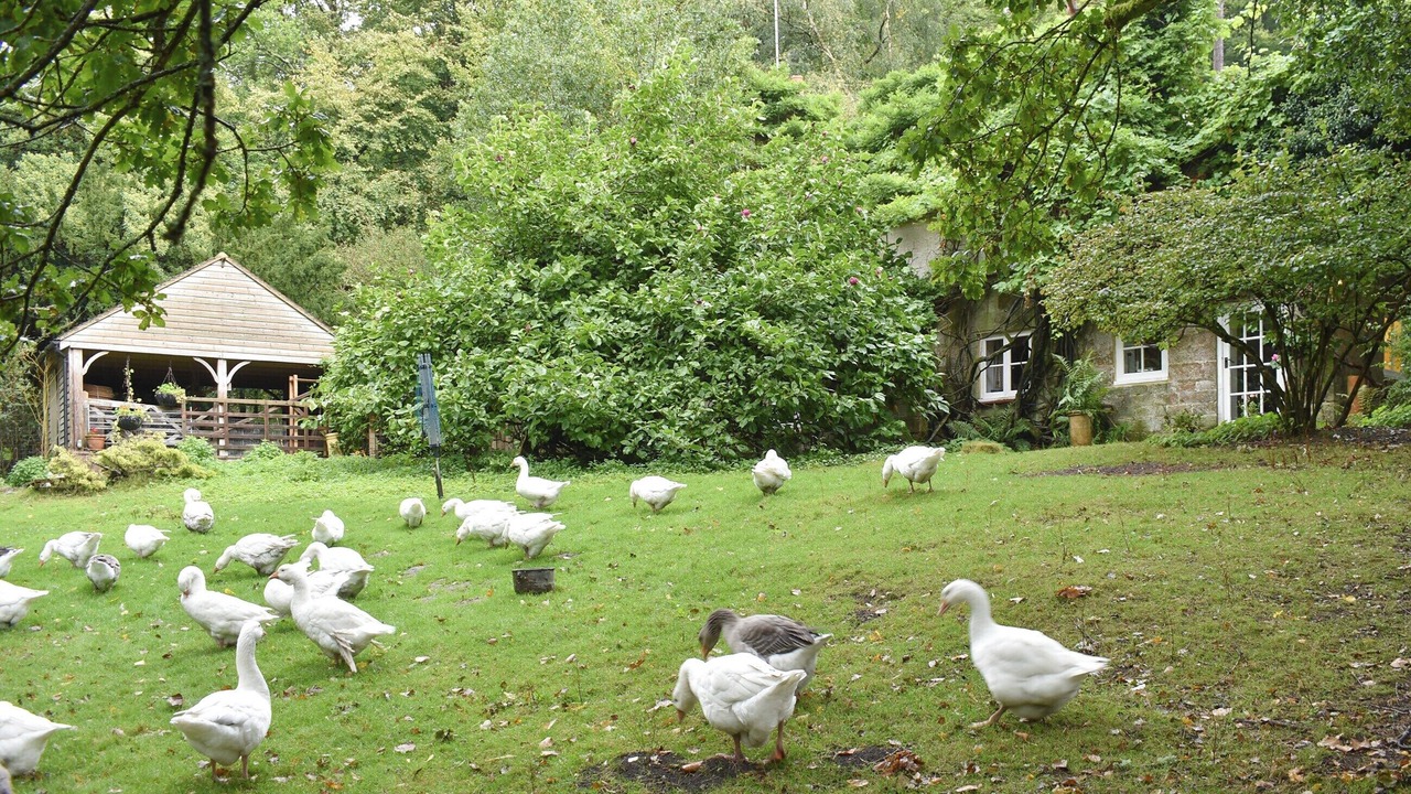 Photo of Others in Crowborough