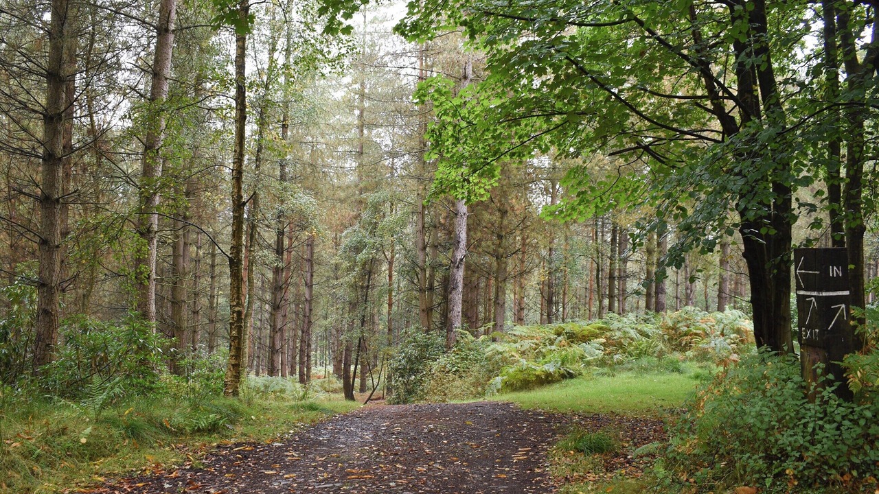 Photo of Others in Crowborough