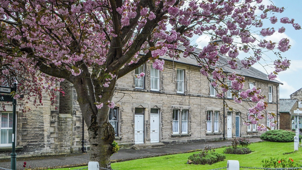 Photo of Outdoor in Rothbury