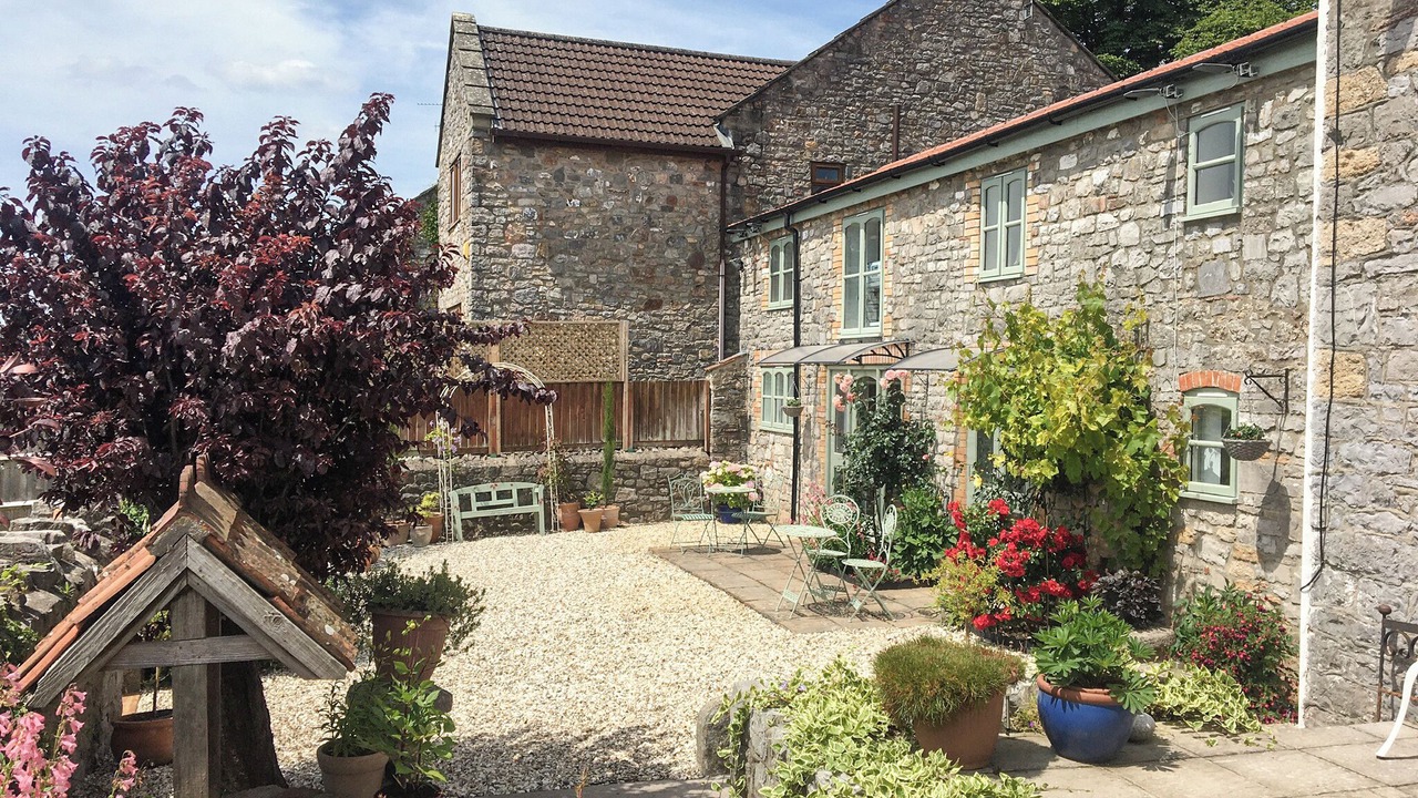 Photo of Others in Cheddar