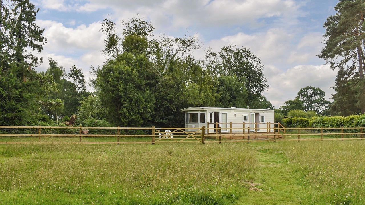 Photo of Others in New Forest District
