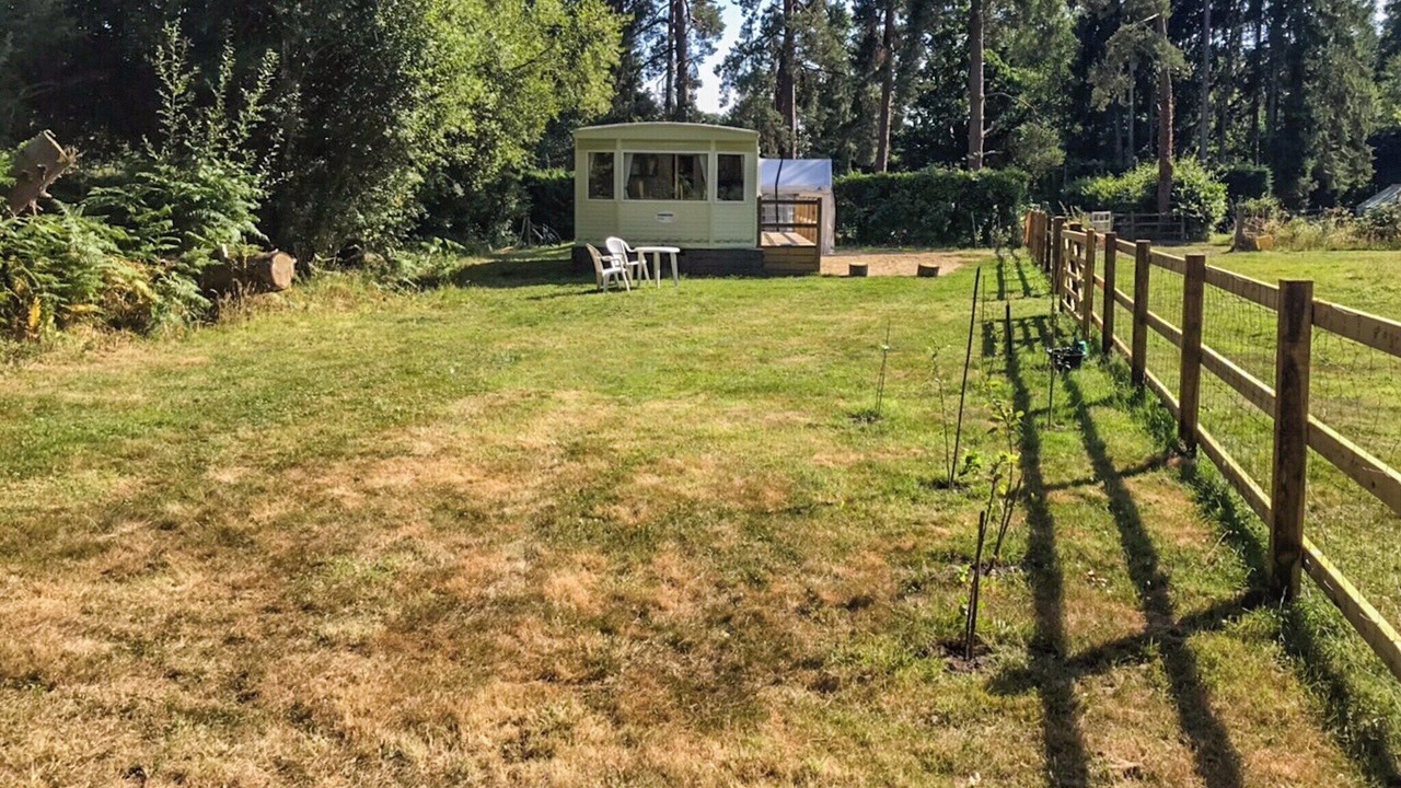 Photo of Outdoor in New Forest District