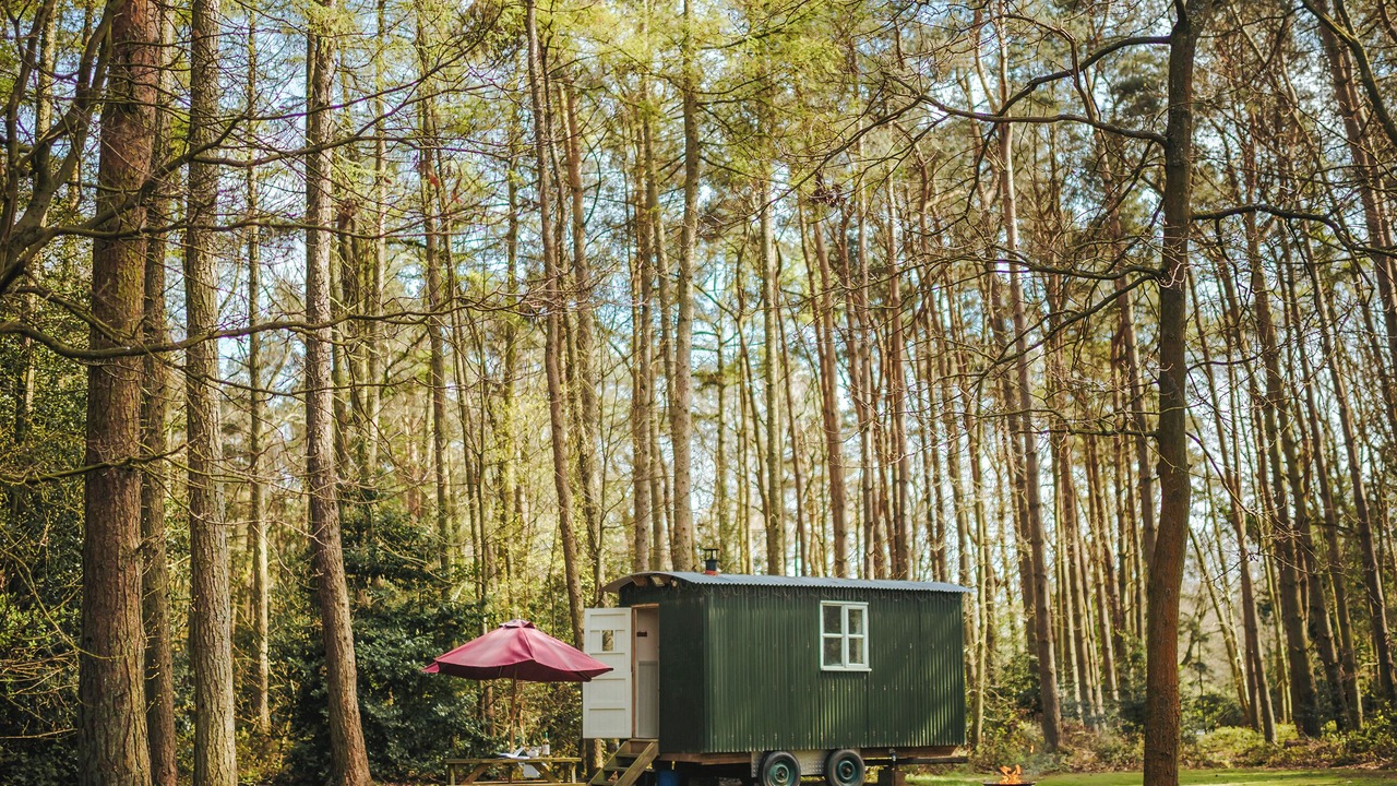 Photo of Others in Melton Constable