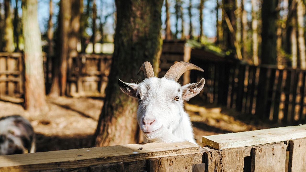 Photo of Outdoor in Melton Constable