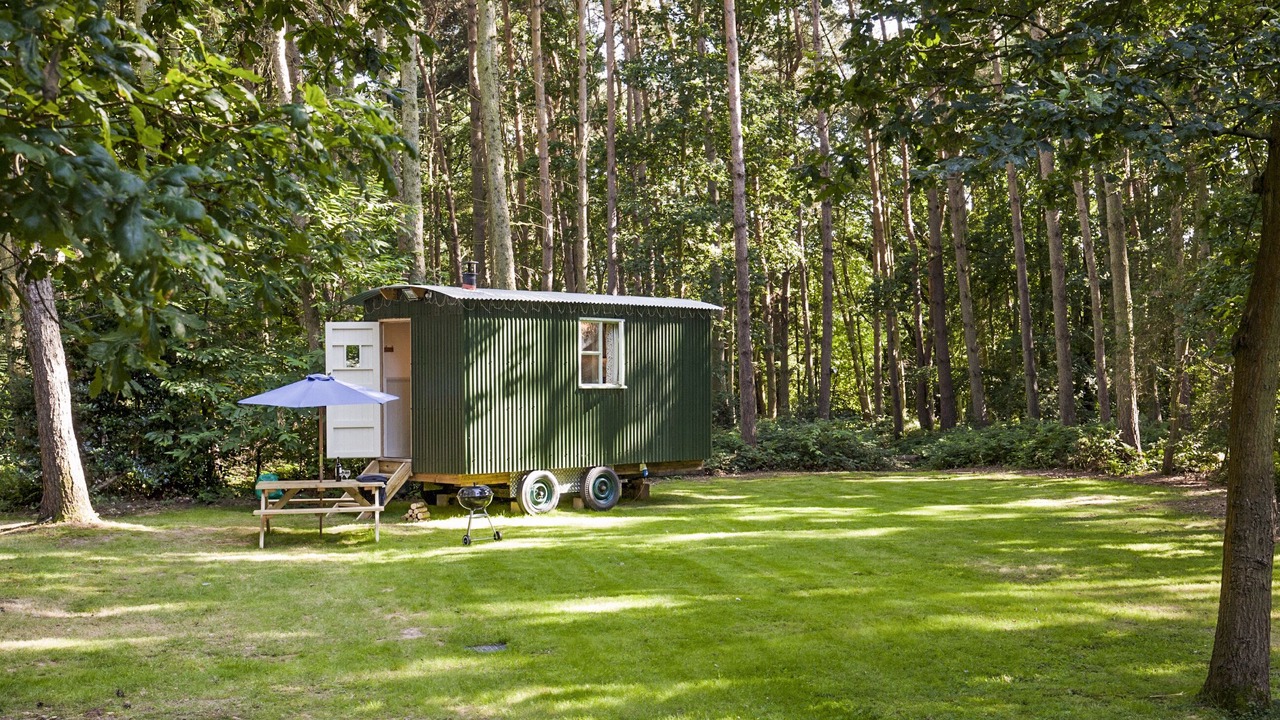 Photo of Outdoor in Melton Constable