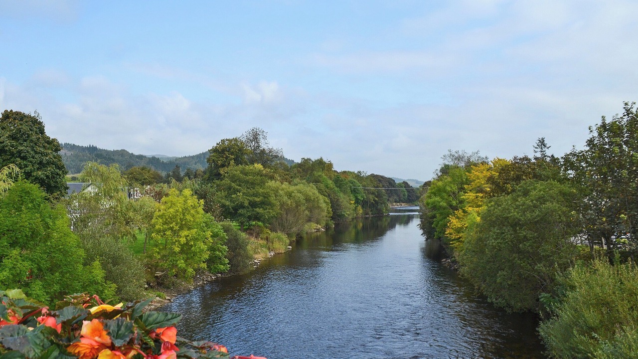 Photo of Others in Comrie