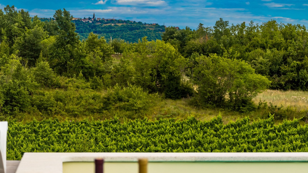 Photo of Outdoor in Buzet