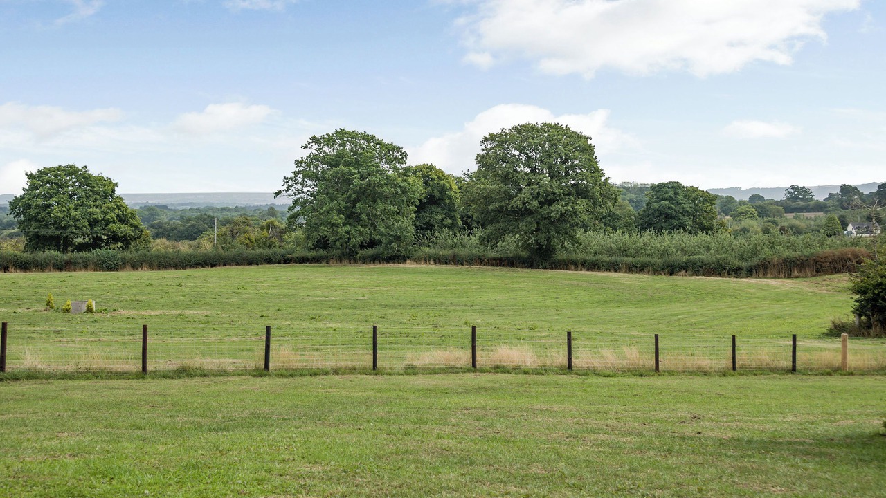 Photo of Others in Kington